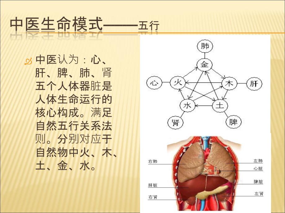 中医基础知识_第4页