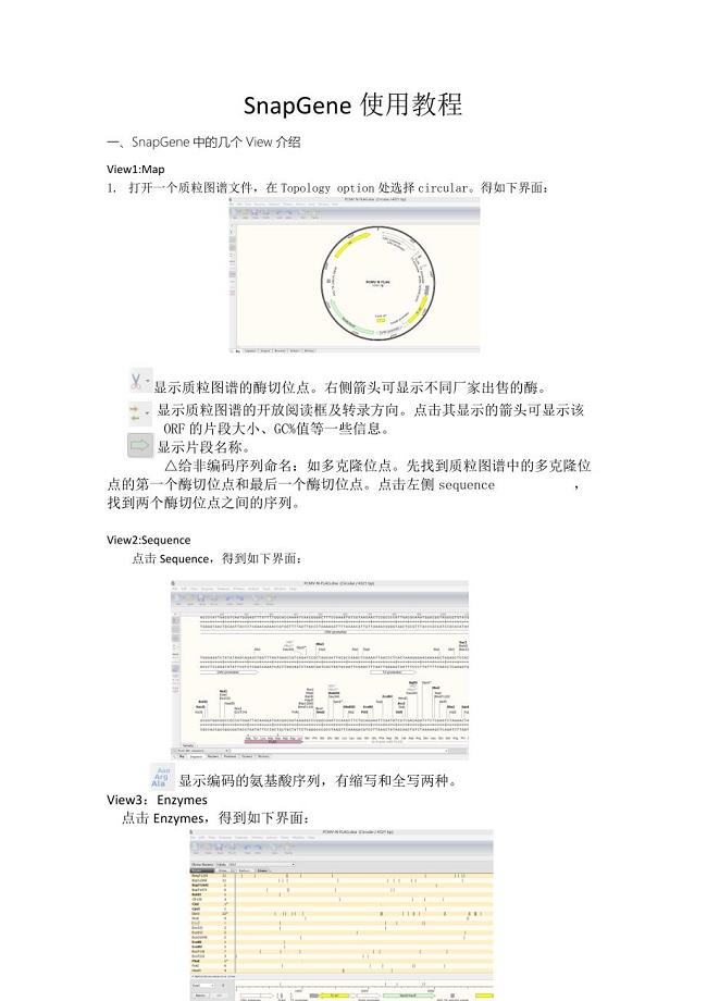 SnapGene中文使用教程_电脑基础知识_IT计算机_专业资料
