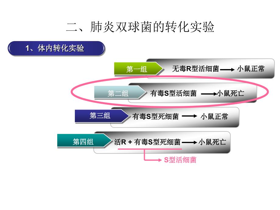 DNA是主要的遗传物质_第4页