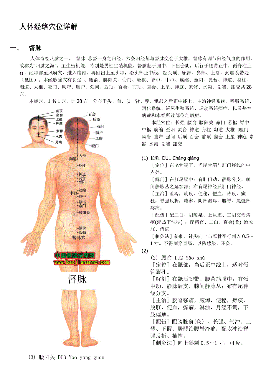 人体经络穴位详解_第1页