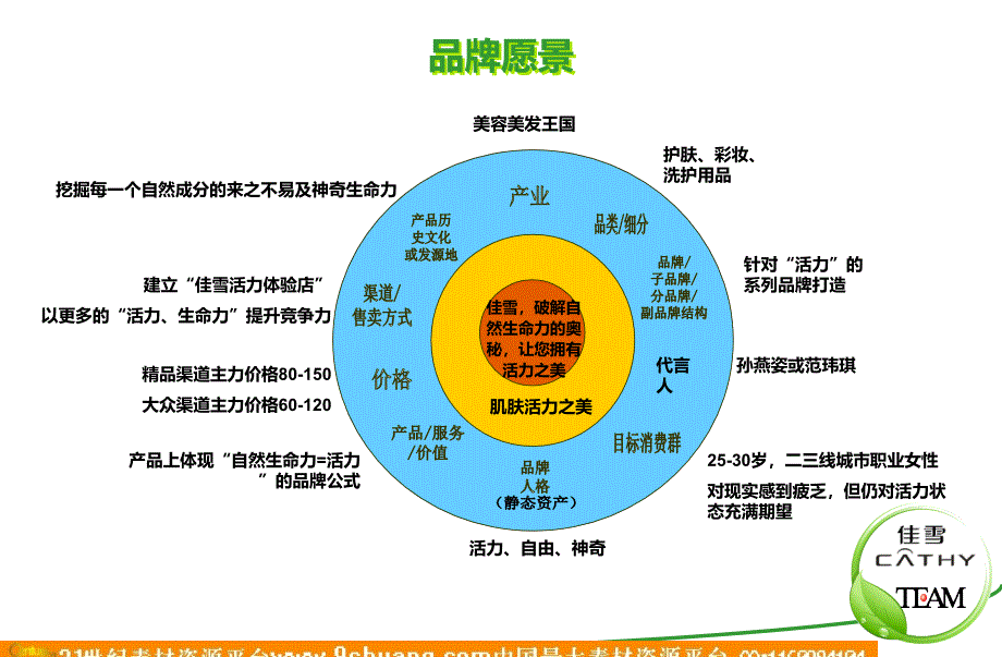 佳雪品牌年度推广方案－天进方案_第3页