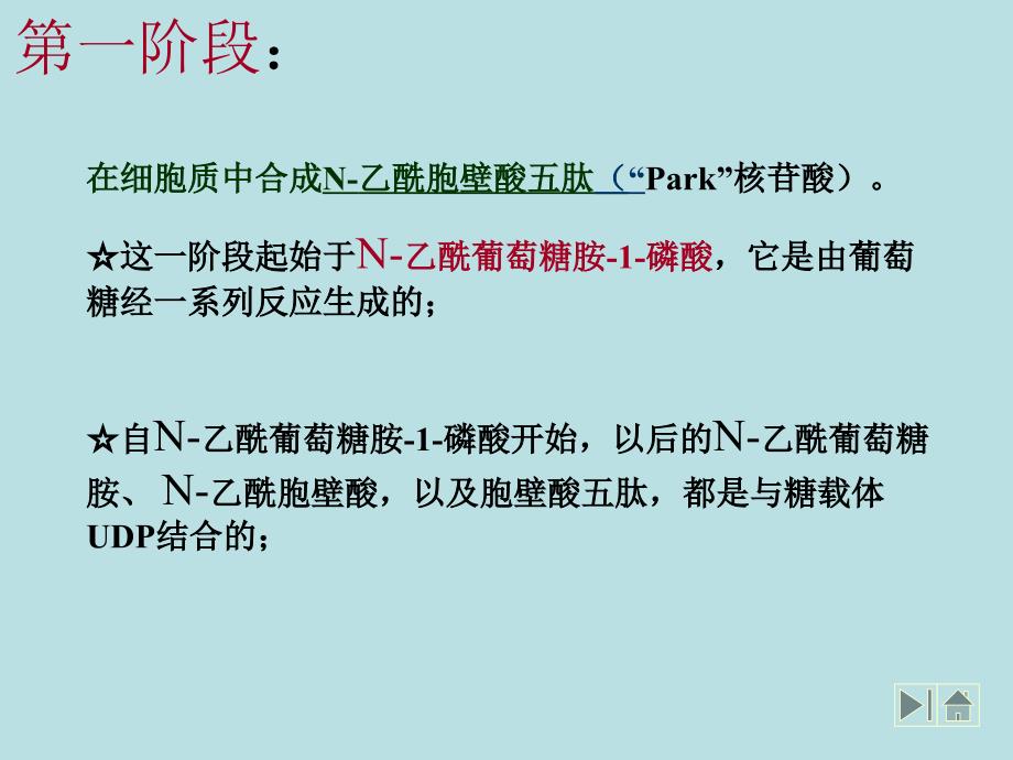 微生物课件（朱卫）肽聚糖的合成_第1页