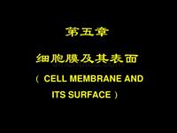 医学细胞生物学 细胞膜及其表面（ CELL MEMBRANE AND ITS SURFACE ）