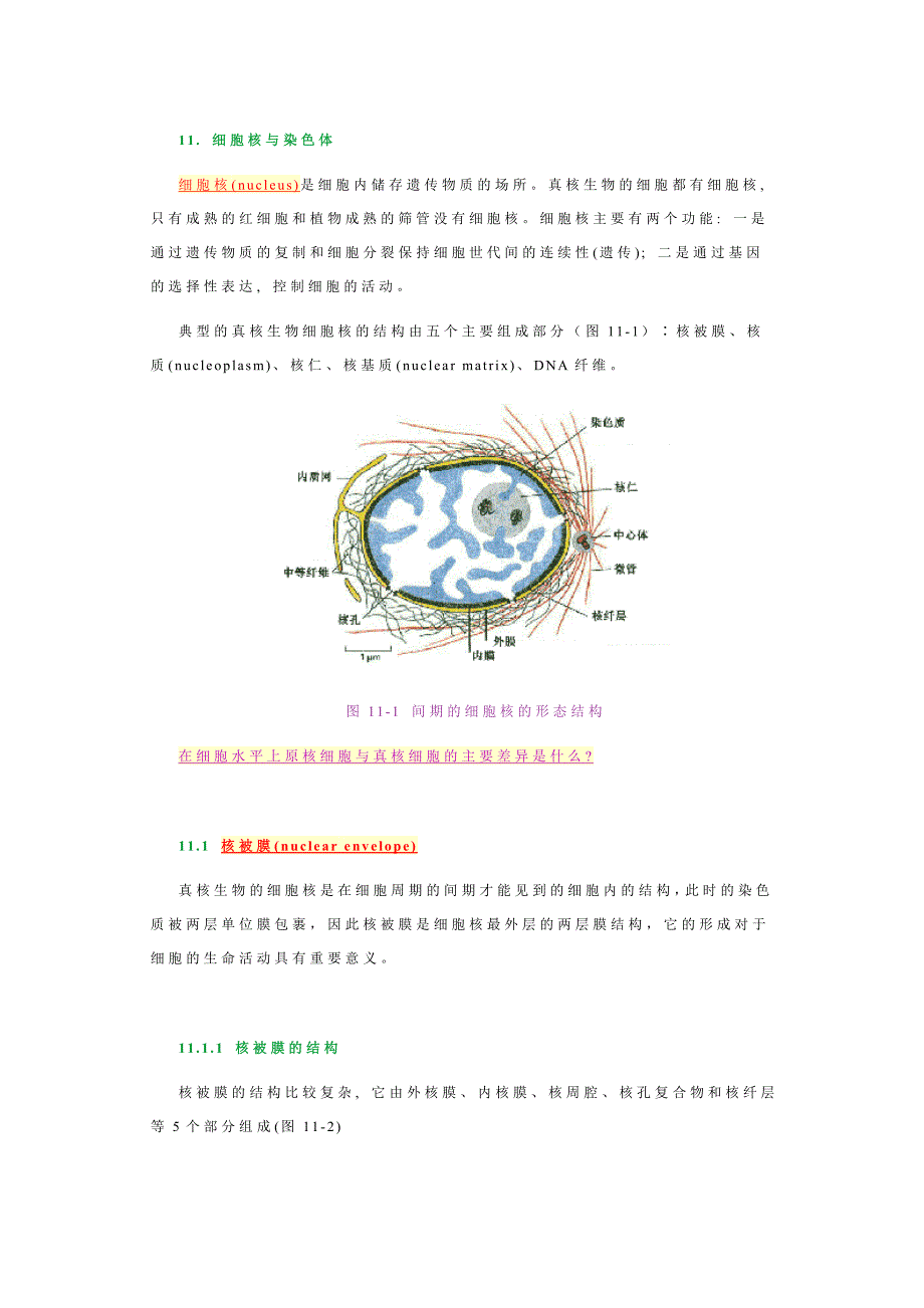 细胞核与染色体－王金发细胞生物学讲义_第1页