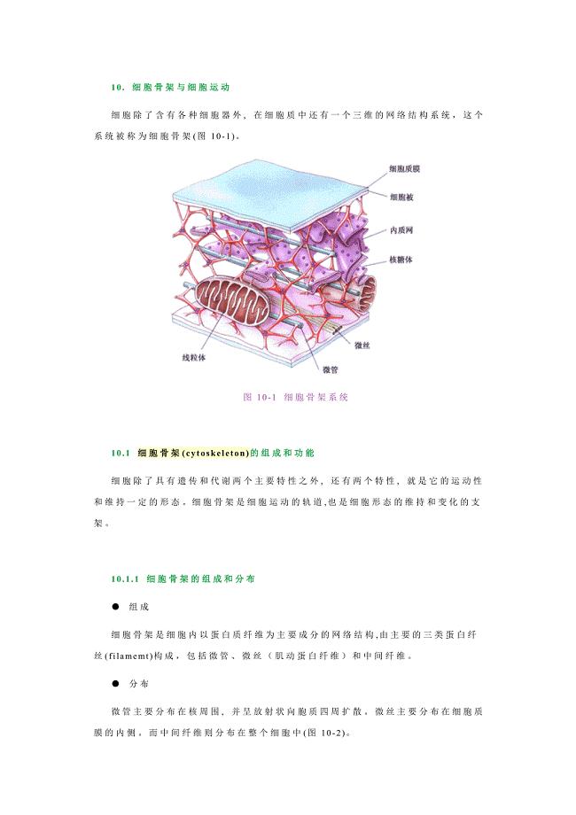 细胞骨架－王金发细胞生物学讲义