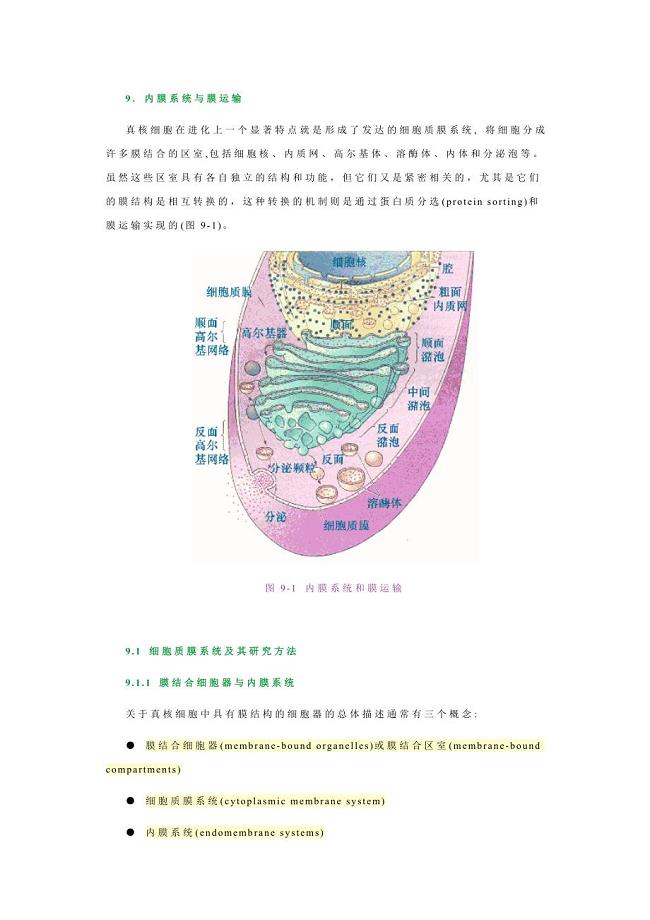 内质网和高尔基体－王金发细胞生物学讲义