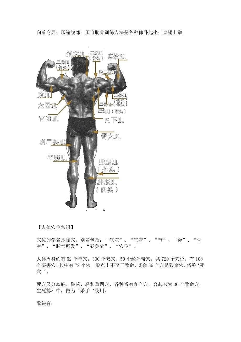 人体肌肉分布图人体经络走向图_第5页