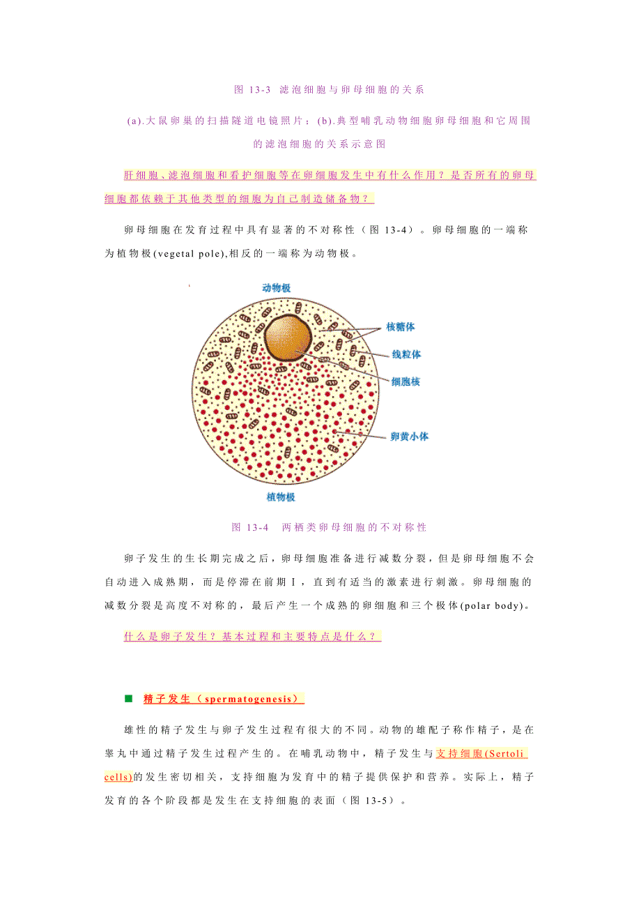细胞分化－王金发细胞生物学讲义_第3页