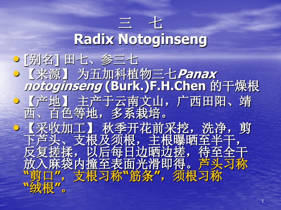 三七 Radix Notoginseng－中药课件_第1页
