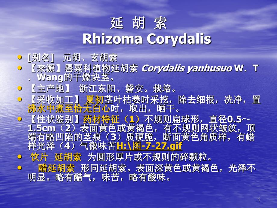 延胡索 Rhizoma Corydalis－中药课件_第1页