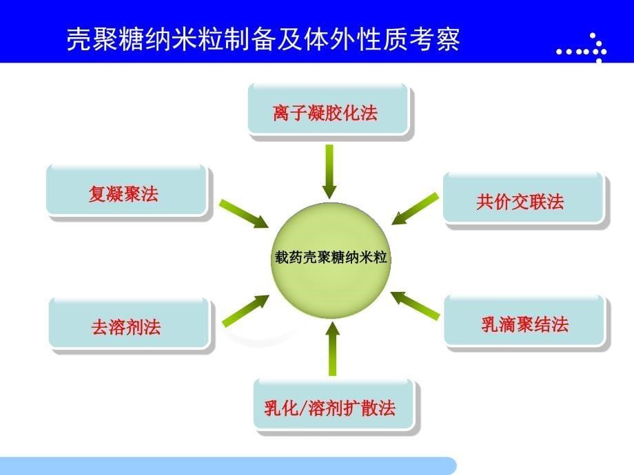 雌二醇壳聚糖纳米粒制备工艺研究及体外性质考察_第5页