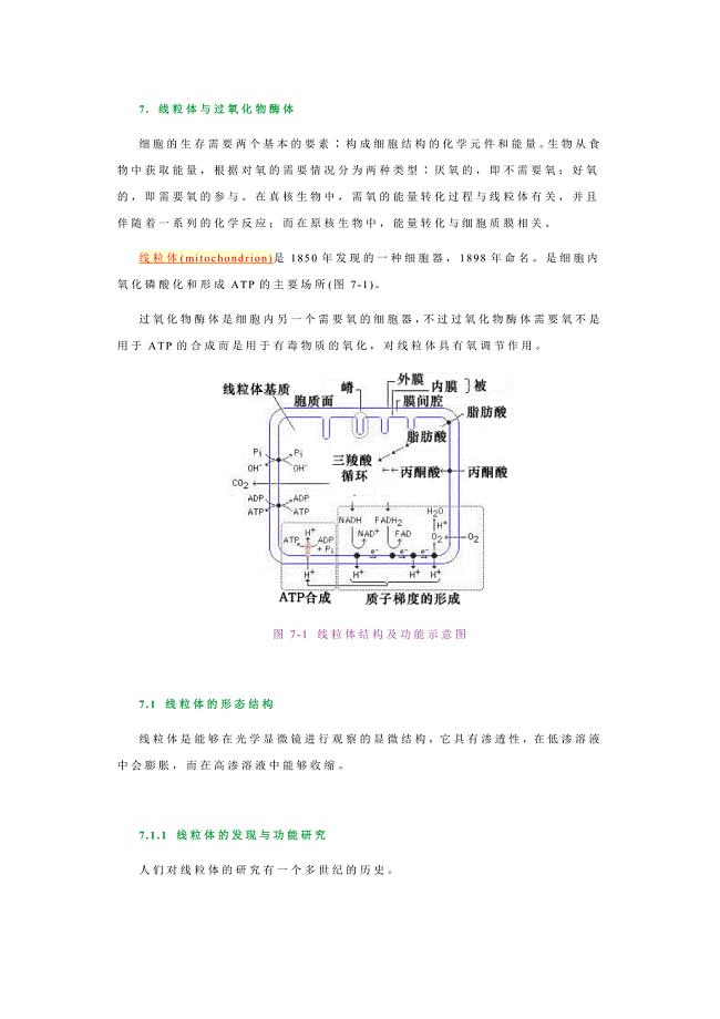 线粒体－王金发细胞生物学讲义