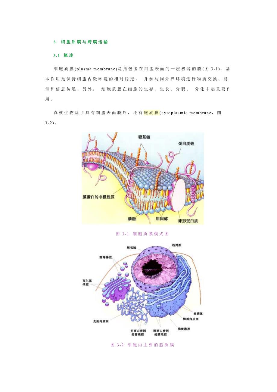 细胞质膜－王金发细胞生物学讲义_第1页