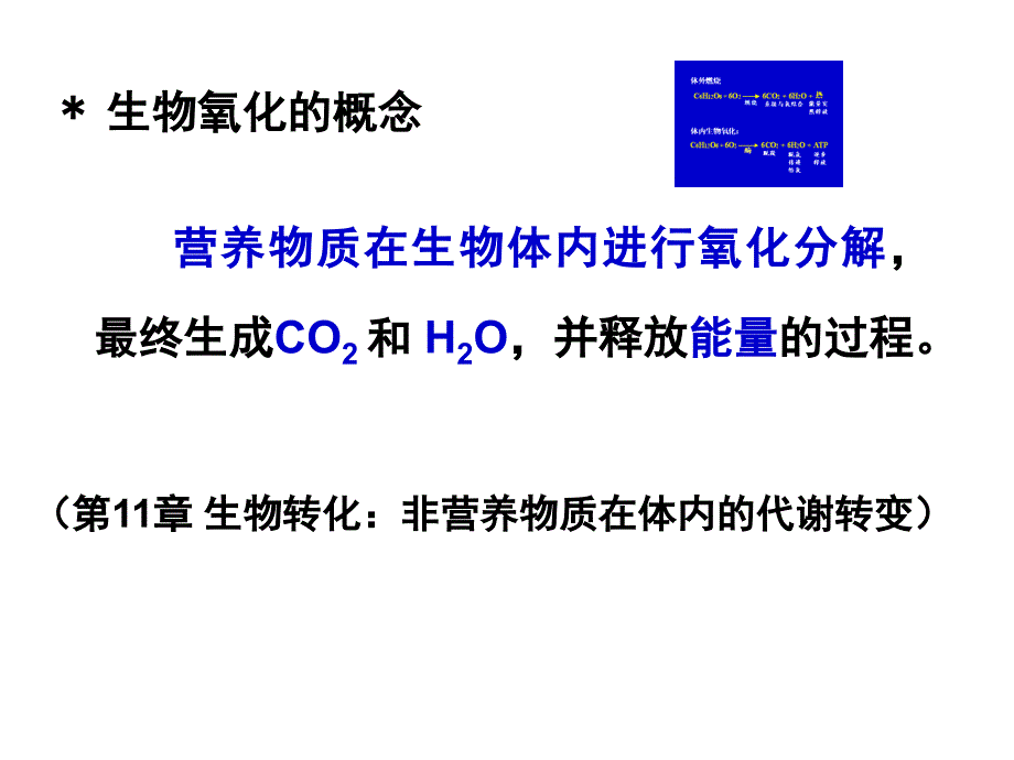 生物氧化 Biological Oxidation（改）_第2页