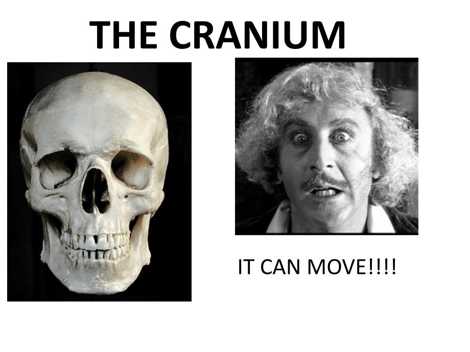 The cranium system－整骨培训课件_第1页