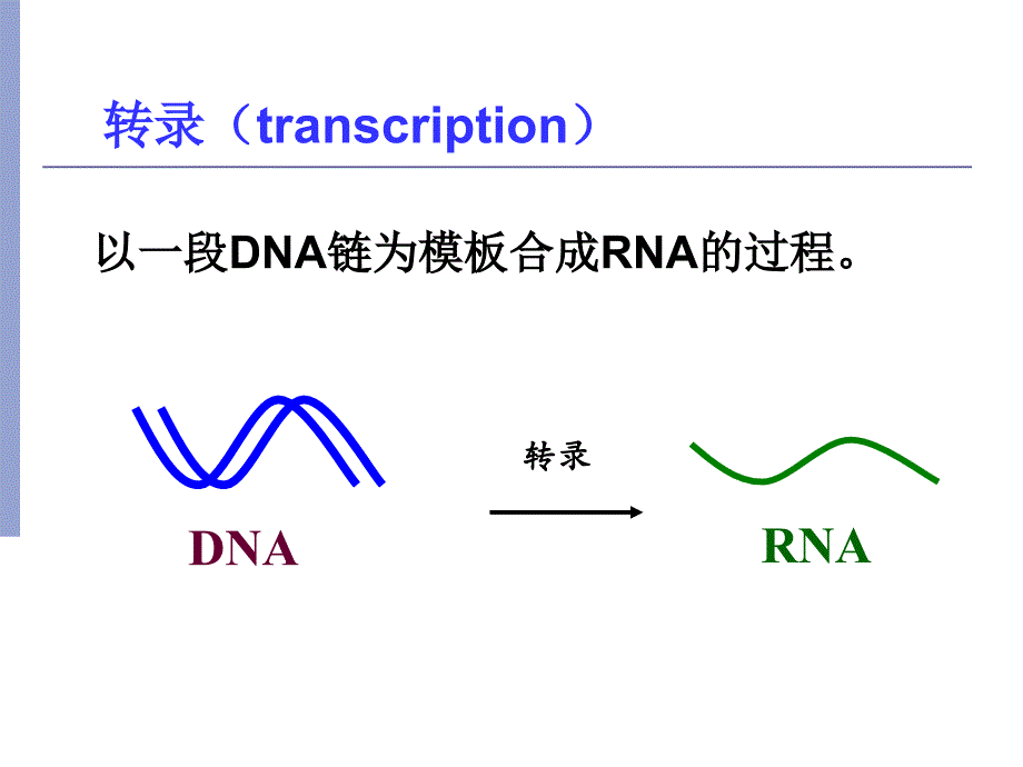 RNA的生物合成 RNA Biosynthesis, Transcription_第2页