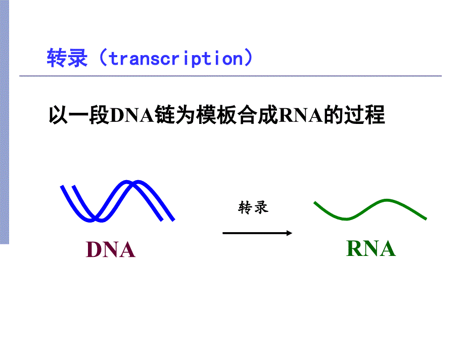 RNA的生物合成（转录）RNA Biosynthesis, Transcription_第2页