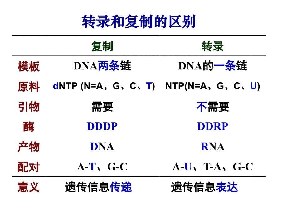 RNA的生物合成（转录）RNA Biosynthesis, Transcription_第5页