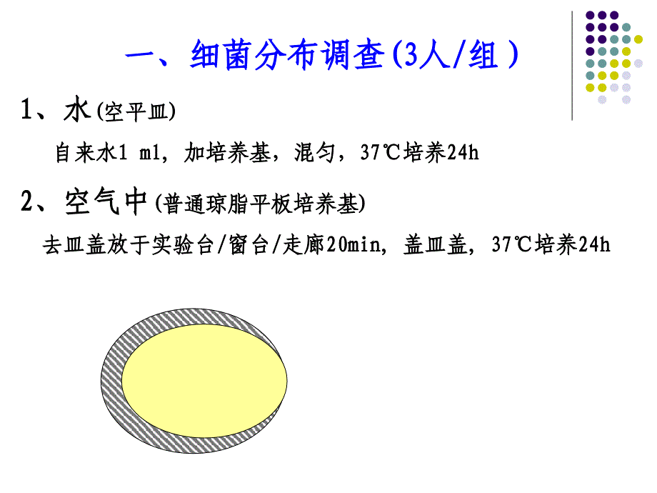 细菌分布调查和药敏实验－微生物与免疫学实验_第2页