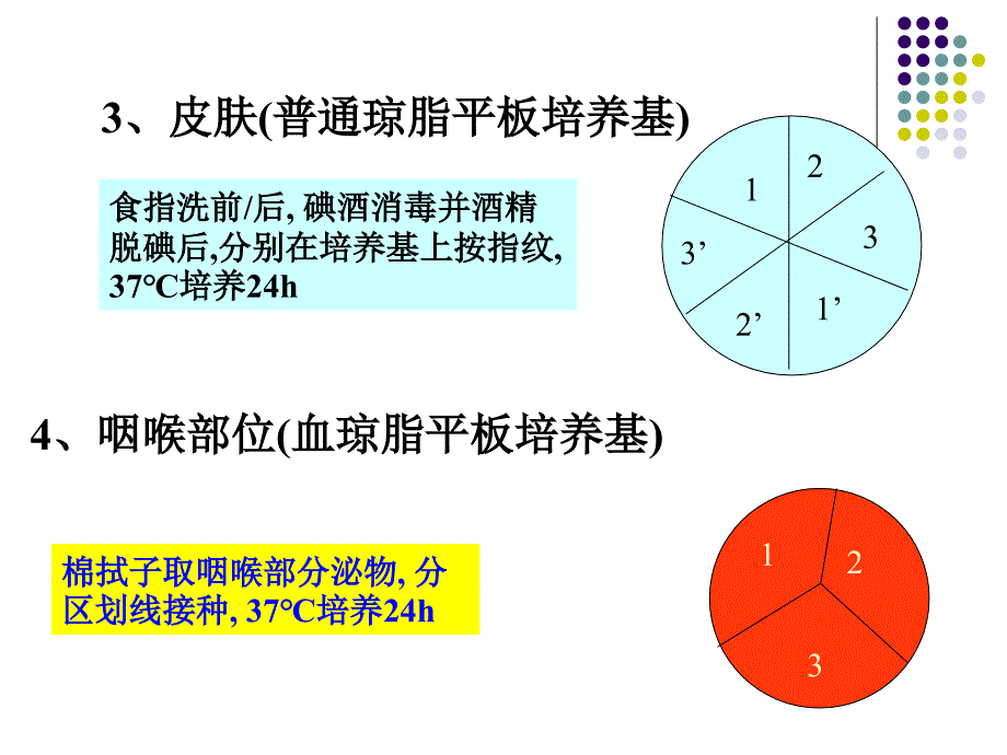 细菌分布调查和药敏实验－微生物与免疫学实验_第3页