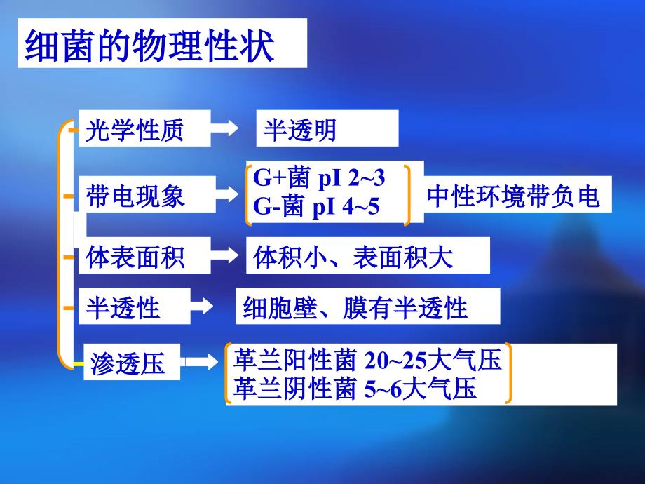 细菌的生理－微生物学课件_第3页