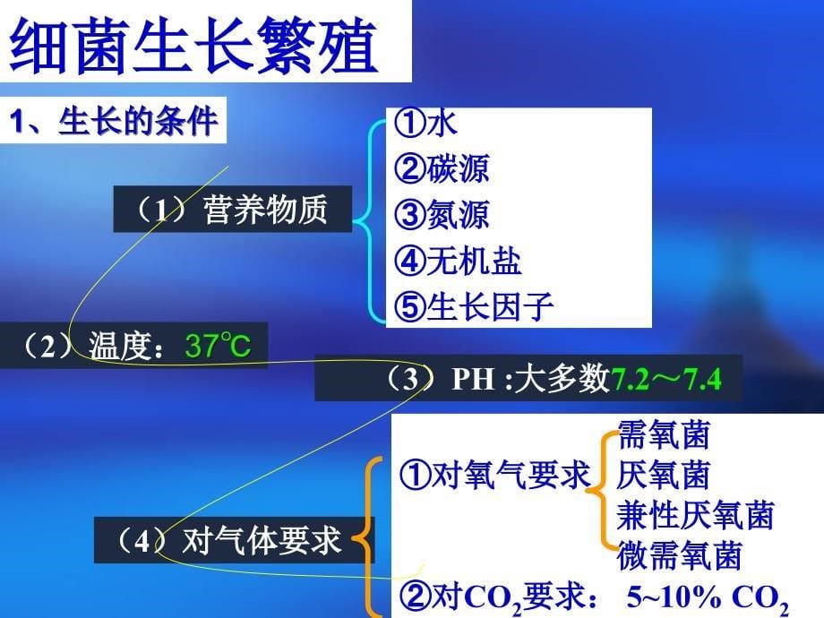 细菌的生理－微生物学课件_第5页