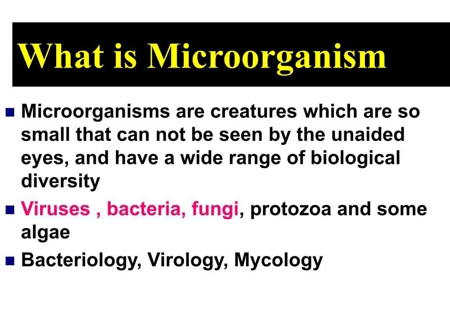 微生物绪论Preface of  Microbiology_第5页