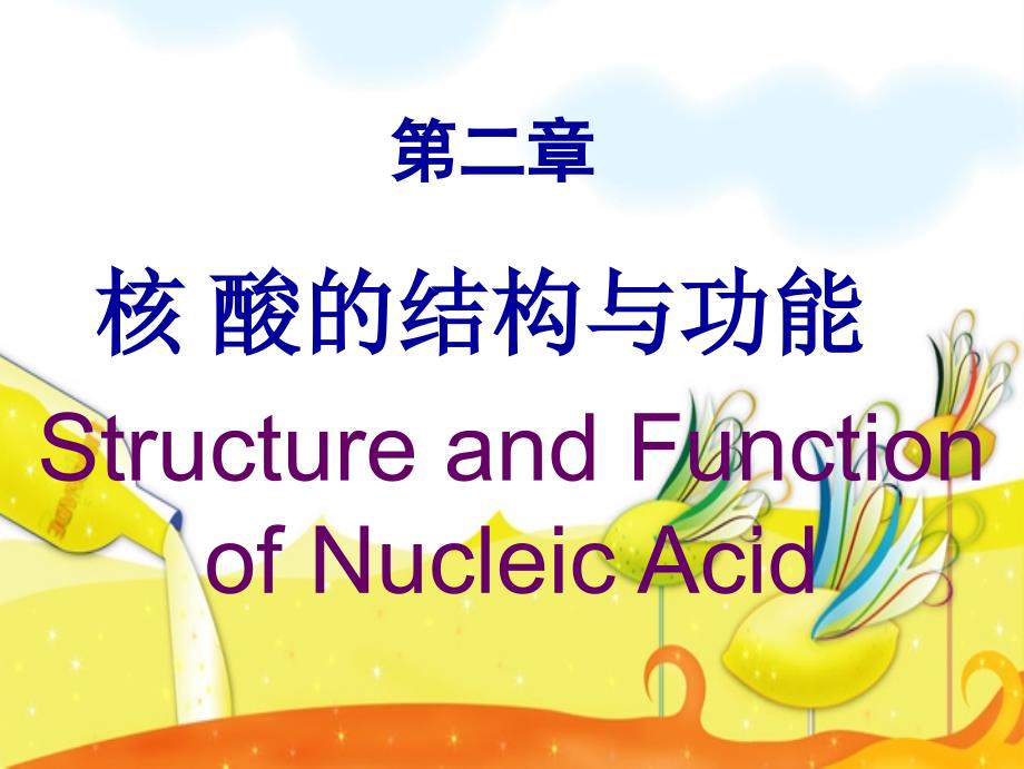 核酸的结构与功能 Structure and Function of Nucleic Acid_第2页