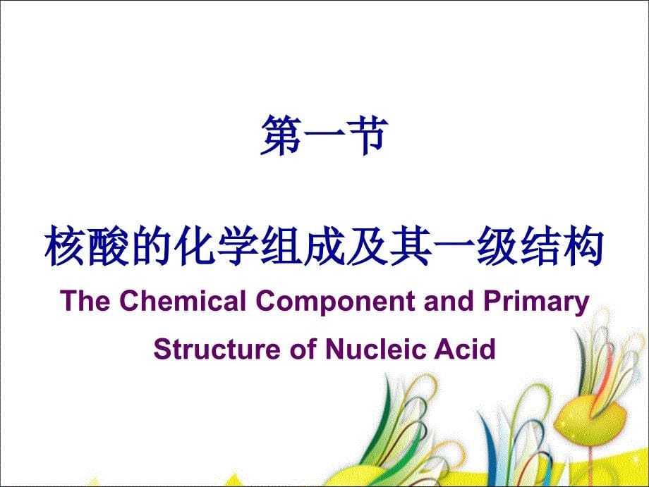 核酸的结构与功能 Structure and Function of Nucleic Acid_第5页