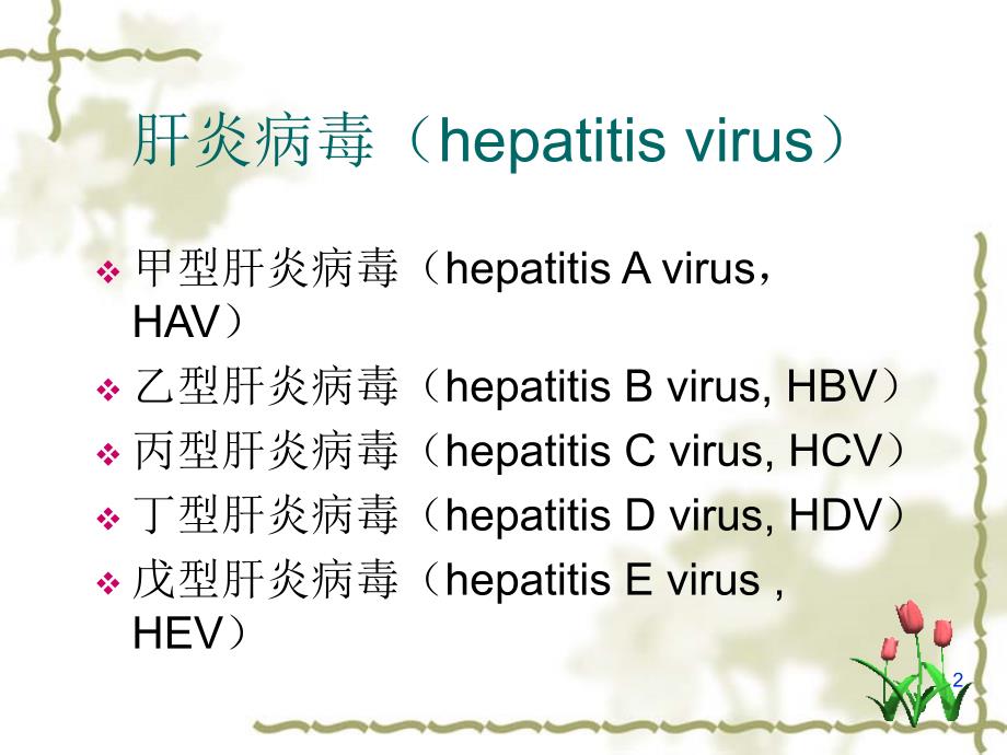 肝炎病毒－微生物学课件_第2页