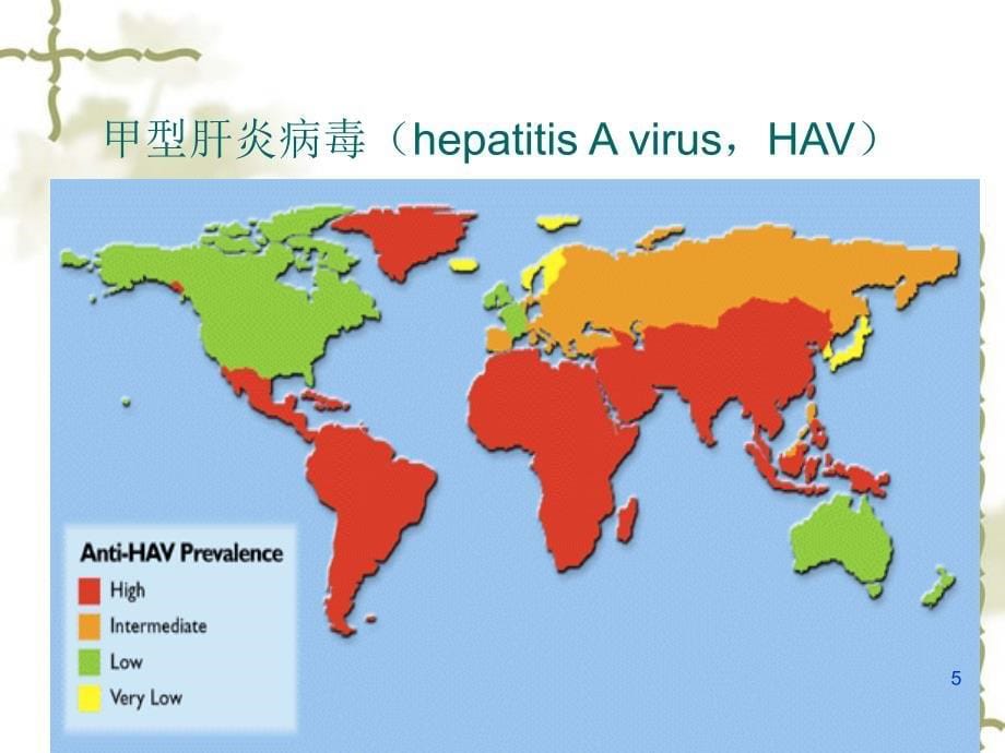 肝炎病毒－微生物学课件_第5页