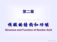 核酸的结构与功能Structure and Function of Nucleic Acid