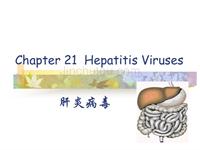Hepatitis Viruses 