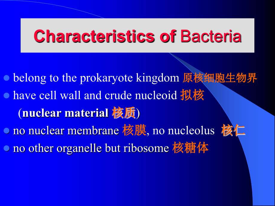 Bacterial Morphology and Structure_第3页