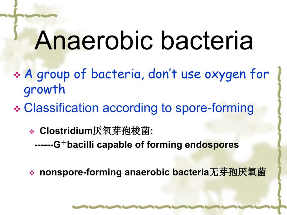 anaerobic Bacteria_第2页