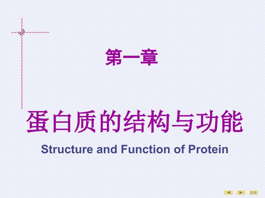 蛋白质的结构与功能Structure and Function of Protein_第1页