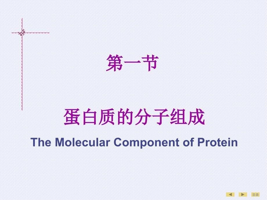 蛋白质的结构与功能Structure and Function of Protein_第5页