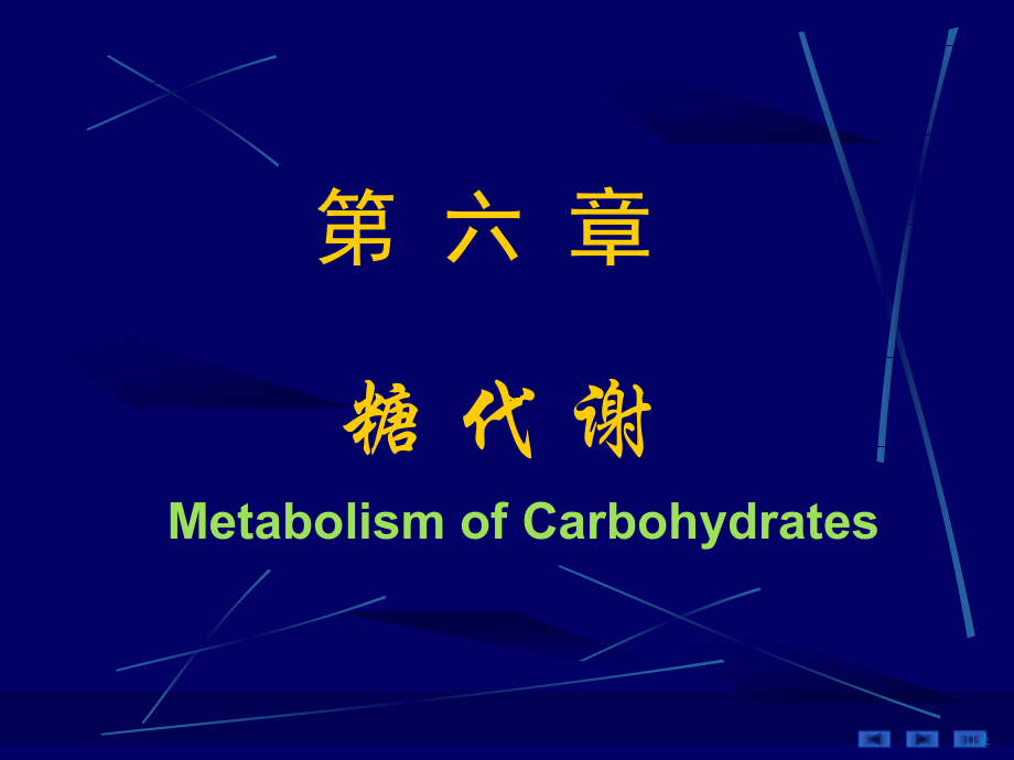 糖代谢 Metabolism of Carbohydrates_第1页