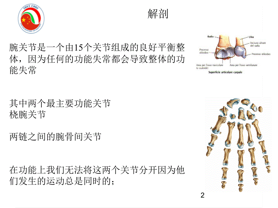 Wrist & Hand中文－整骨培训课件_第2页