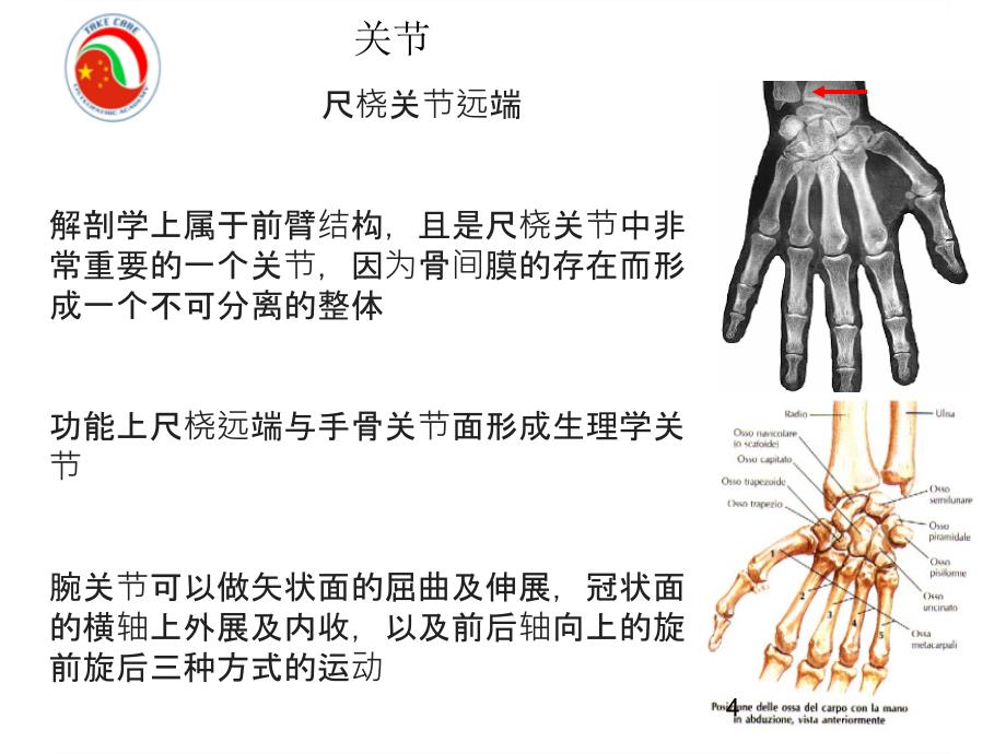 Wrist & Hand中文－整骨培训课件_第4页
