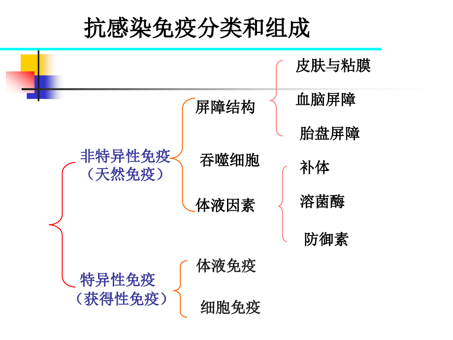 抗感染免疫-8－微生物与免疫学课件_第2页