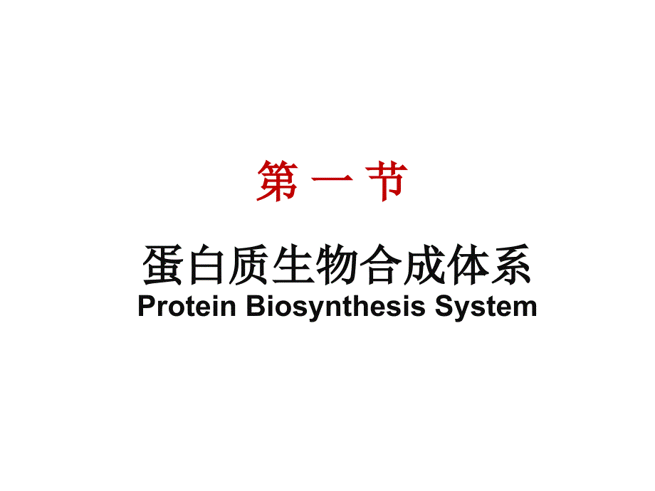 蛋白质的生物合成（翻译）Protein Biosynthesis，Translation_第3页