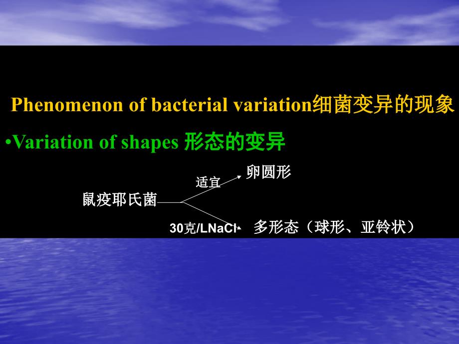 Bacterial genetics and variation_第4页