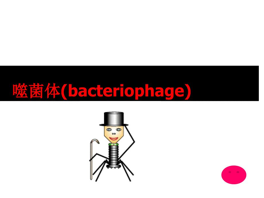 bacteriophage