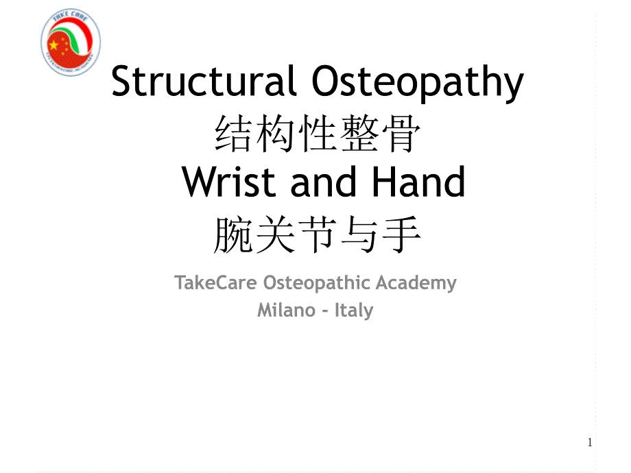 Wrist & Hand中英文－整骨培训课件