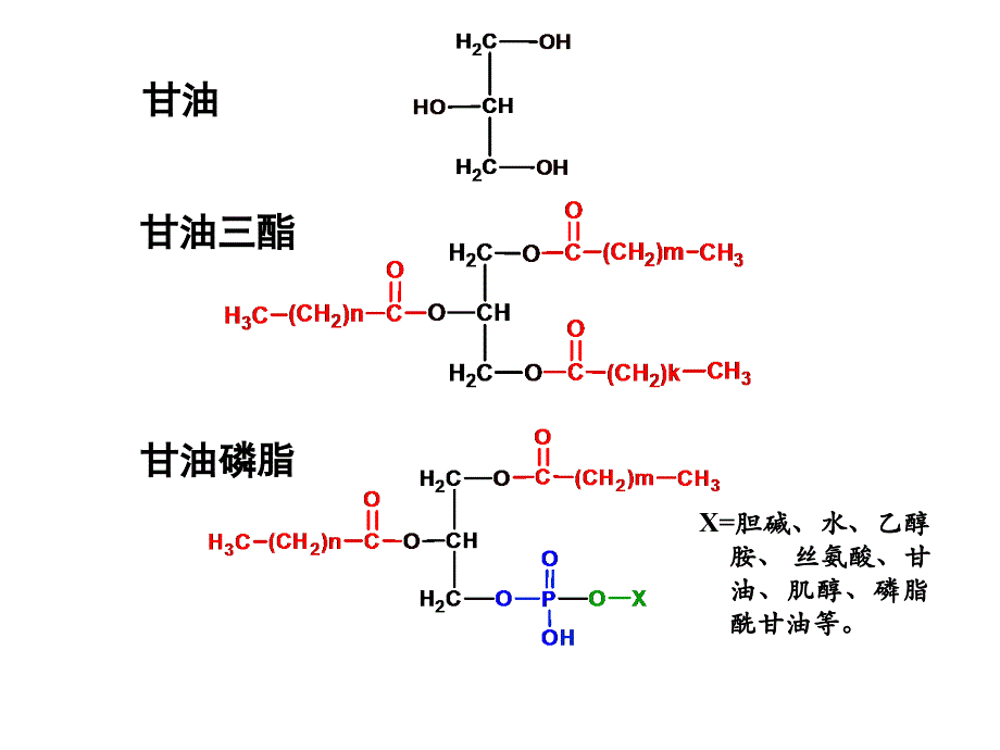 脂类代谢(改)Lipid Metabolism_第4页