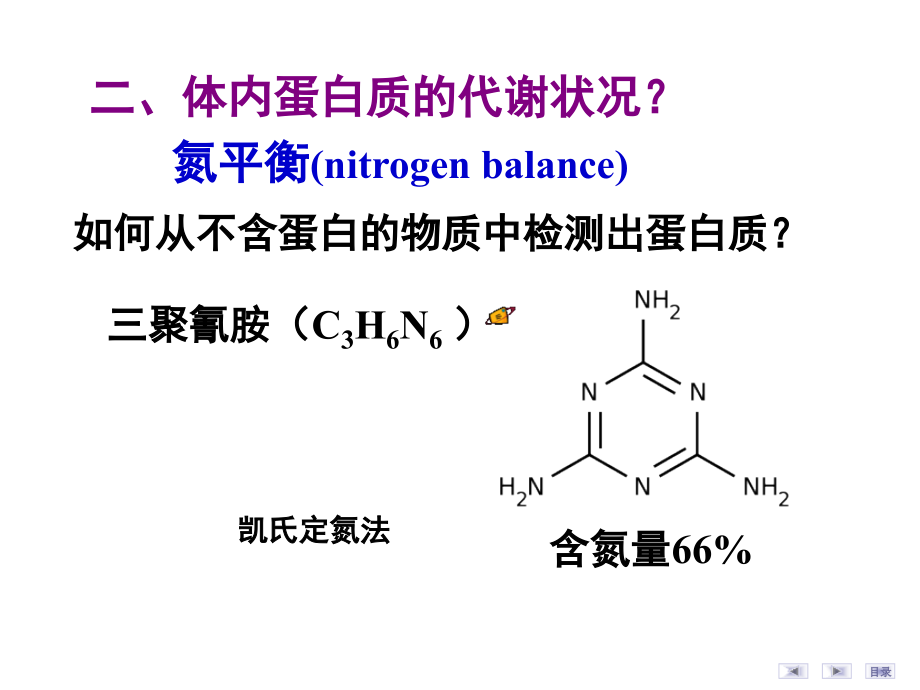 氨基酸代谢(改)Amino Acid Metabolism_第4页