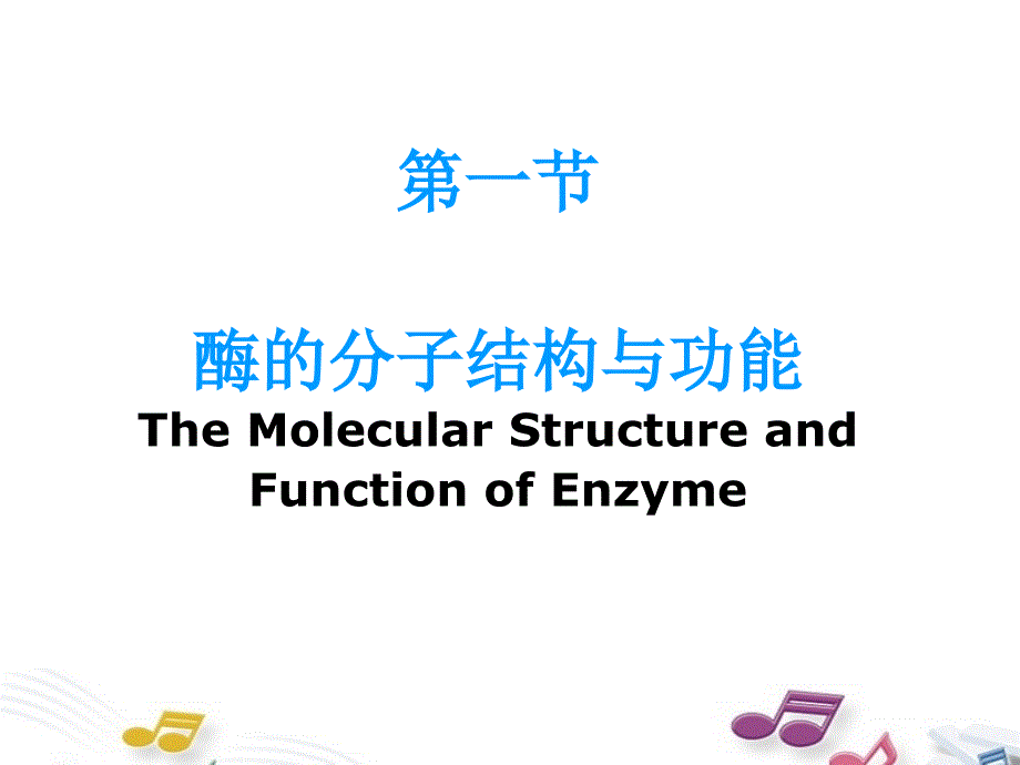 酶 Enzyme_第4页