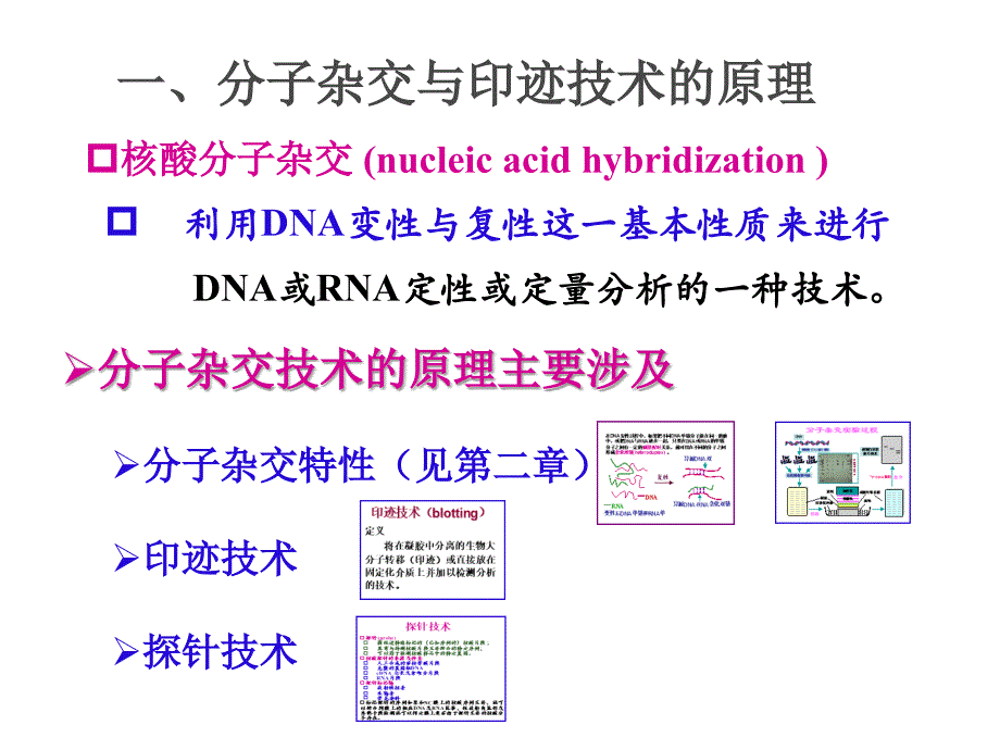 常用分子生物学技术的原理及应用（改）_第3页