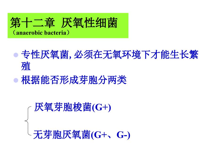 厌氧性细菌-2－微生物学课件